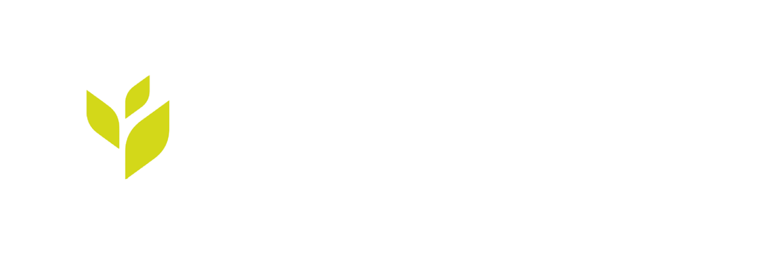 Kratzer Hacktechnik